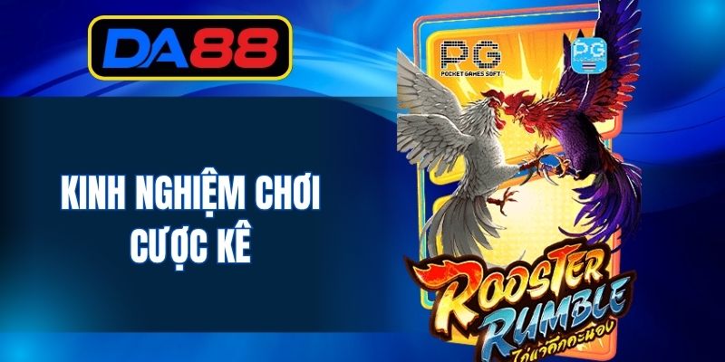 Đá Gà DA88 - Kênh Cược Chọi Kê Thomo Trực Tiếp Chuẩn HD - inova.games
