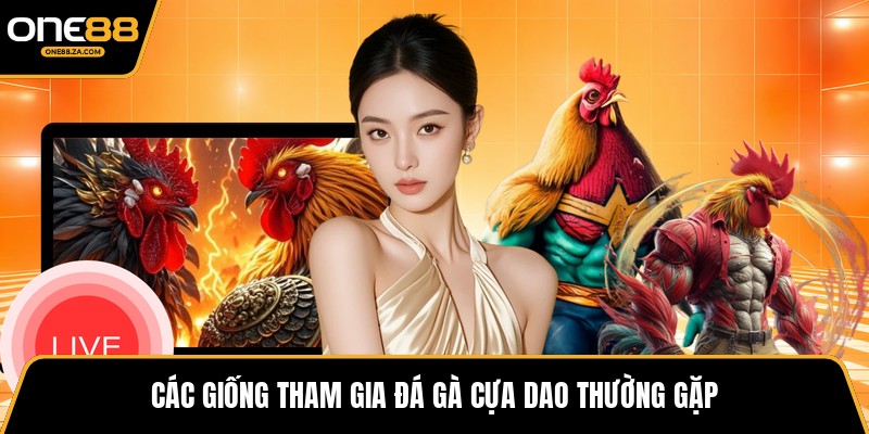 Đá Gà Cựa Dao - Đấu Trường Tốc Độ Mang Hùng Khí 2026 - inova.games