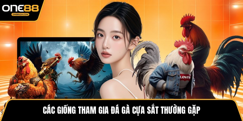 Đá Gà Cựa Sắt - Hùng Trận Tốc Chiến Đầy Khí Phách 2026 - inova.games