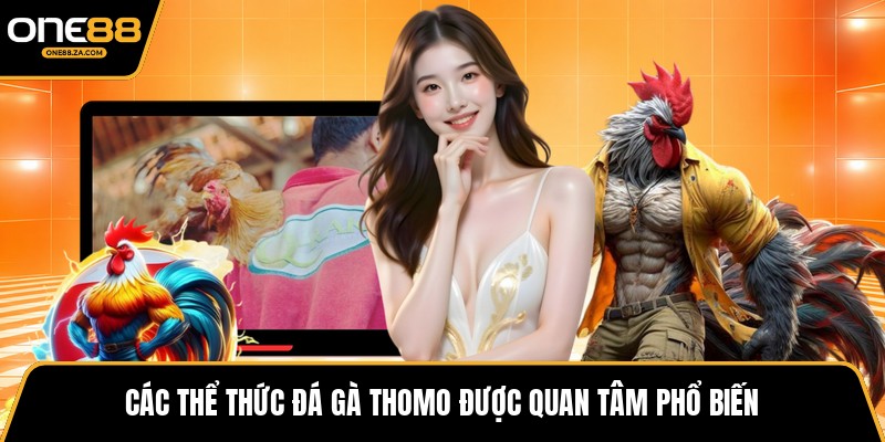 Đá Gà Thomo - Đấu Trường Kịch Tính Giữa Biên Cương - inova.games