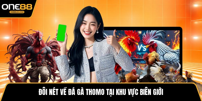 Đá Gà Thomo - Đấu Trường Kịch Tính Giữa Biên Cương - inova.games